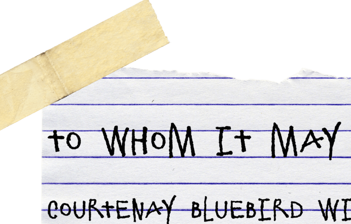 Late Night With Jimmy Fallon - Handwriting (1200x766), Png Download