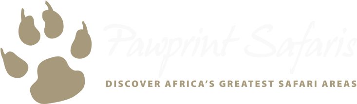 Pawprint Safaris - Safari (744x216), Png Download