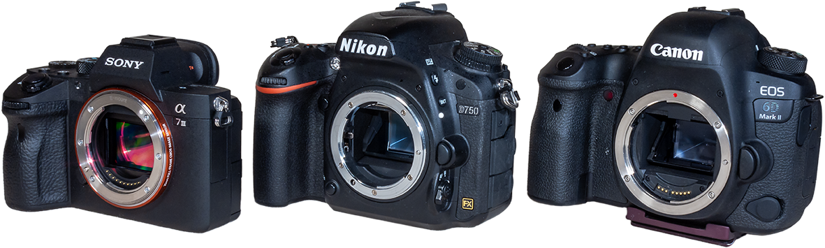 Camera Trio The Sony A7iii, Nikon D750, And Canon 6d - Canon Eos 5d Mark Ii (1181x355), Png Download