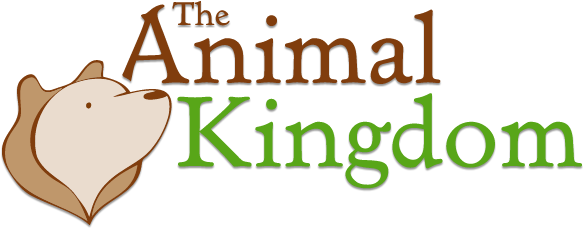 The Animal Kingdom - Animal Kingdom Front Page (685x293), Png Download