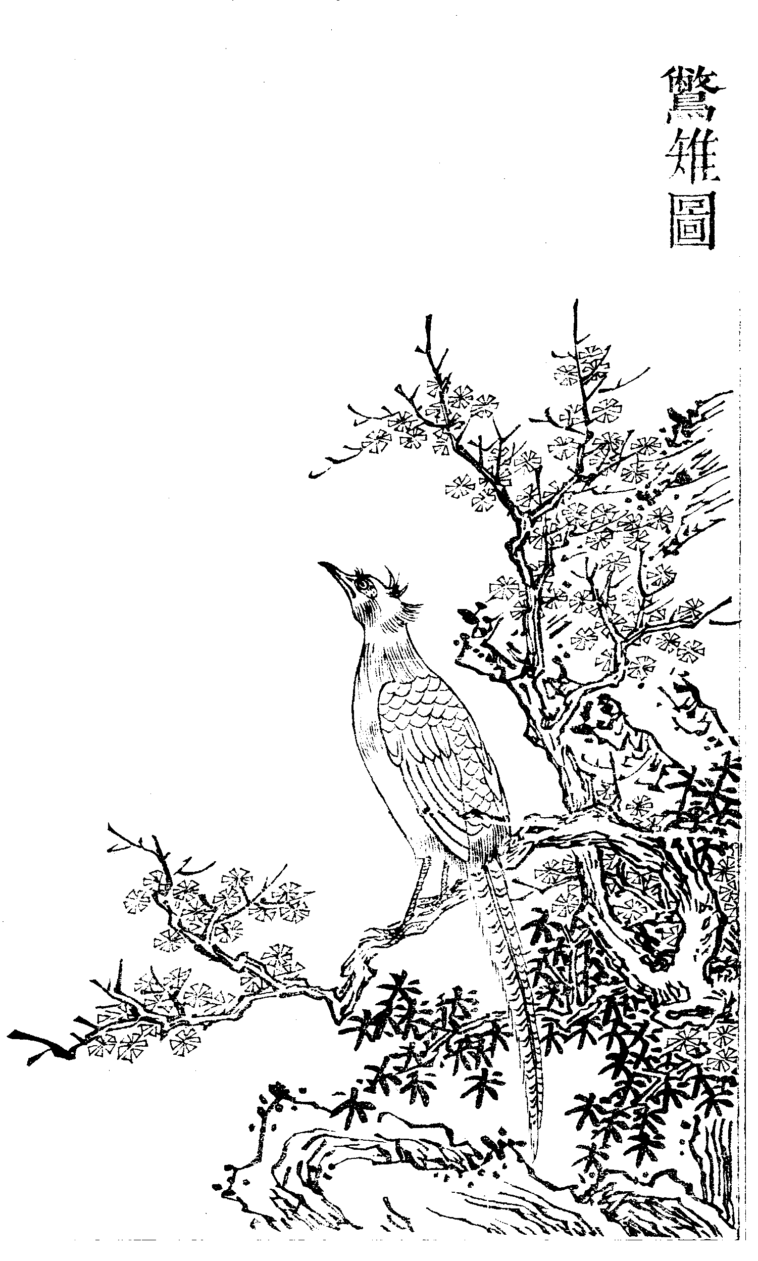 File - Imperial Encyclopaedia - Animal Kingdom - Pic018 - Illustration (1501x2495), Png Download