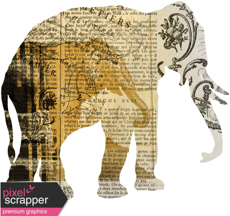 Animal Kingdom - Zoo Collage - Elephant - Verlichting In Nederland 1650 1850 Jan Wim Buisman (456x456), Png Download