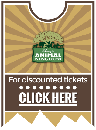 Animal Kingdom Discount Ticket - Disney Animal Kingdom (316x429), Png Download