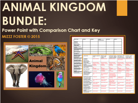 Animal Kingdom Bundle - Microsoft Powerpoint (475x475), Png Download