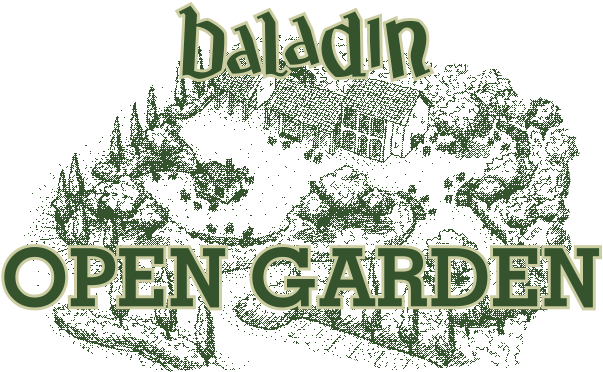 Hello, I Am Teo Musso, The Daddy Of Craft Beer In Italy - Baladin (622x407), Png Download