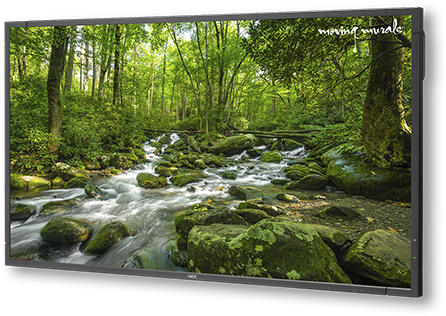 65" X651uhd, Ops Tcis Ps, 1yr 4k Moving Murals Content - Nec X Series X651uhd-mm - 65" Commercial Led Display (480x480), Png Download