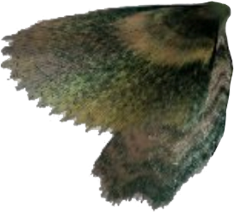 According To A Timeline Of Major Developments In The - Golden Eagle (658x373), Png Download