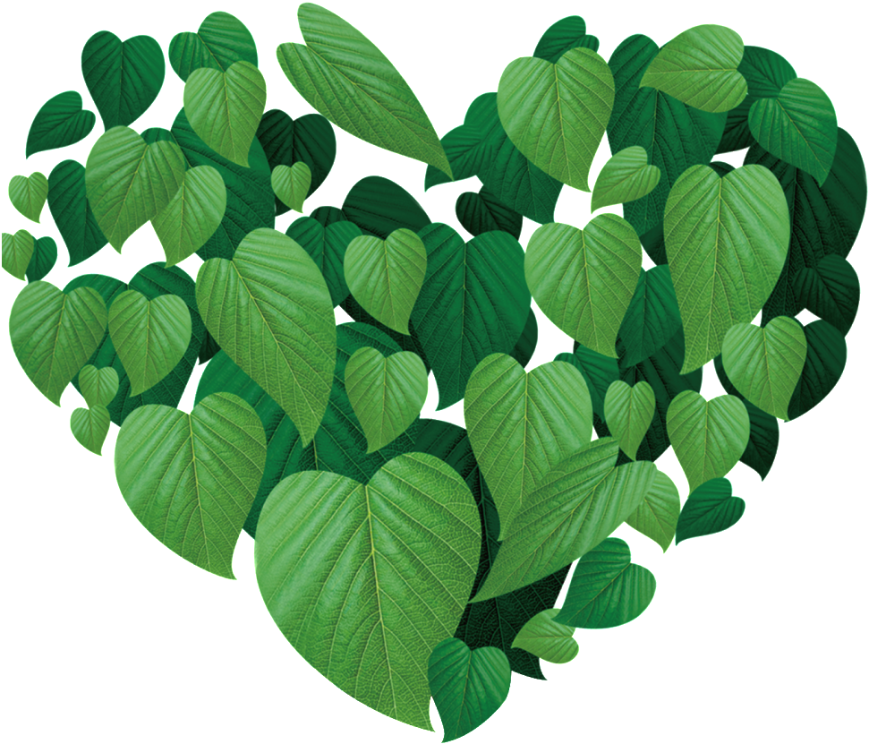 Lover leaves