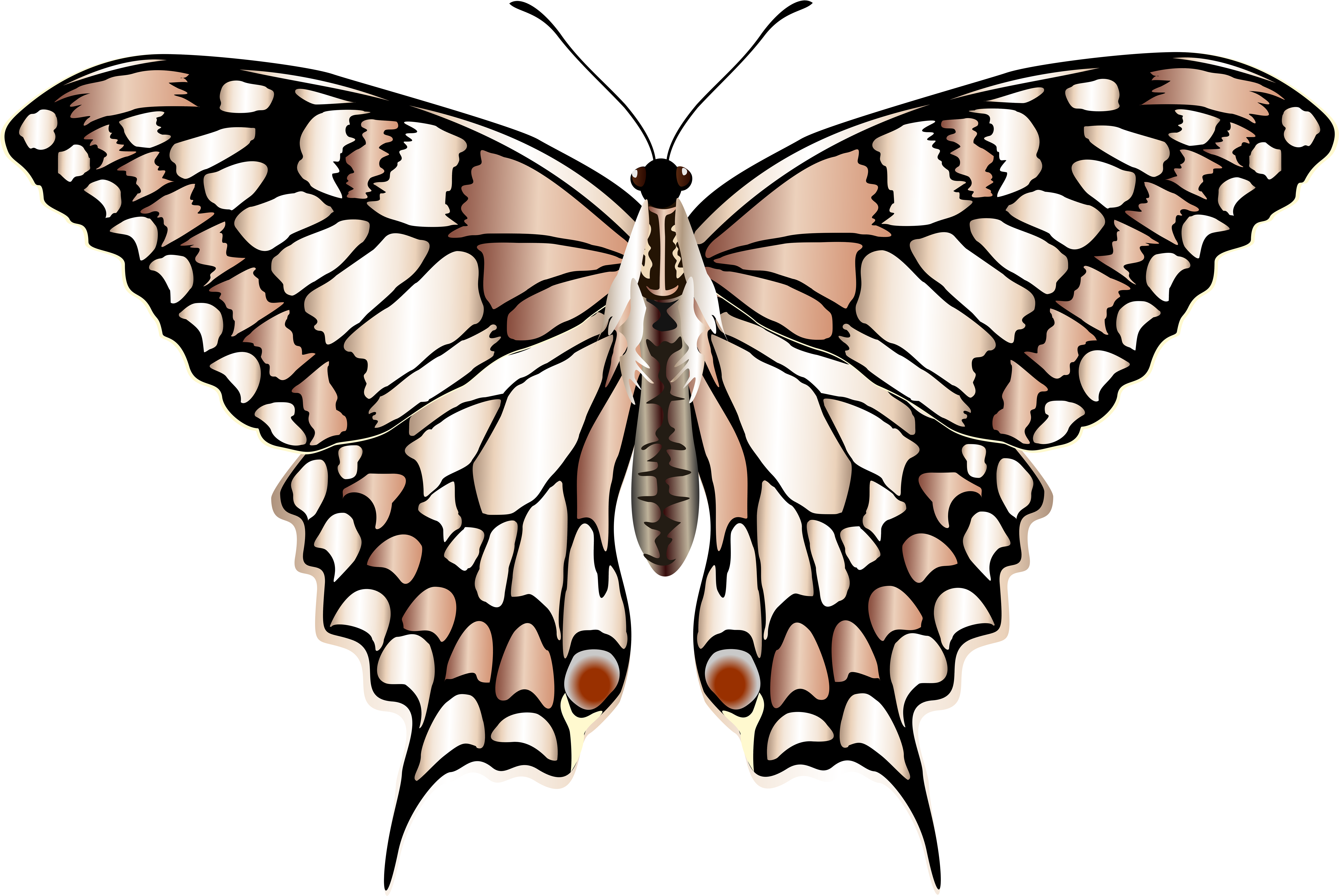 Portable Network Graphics (8000x5510), Png Download