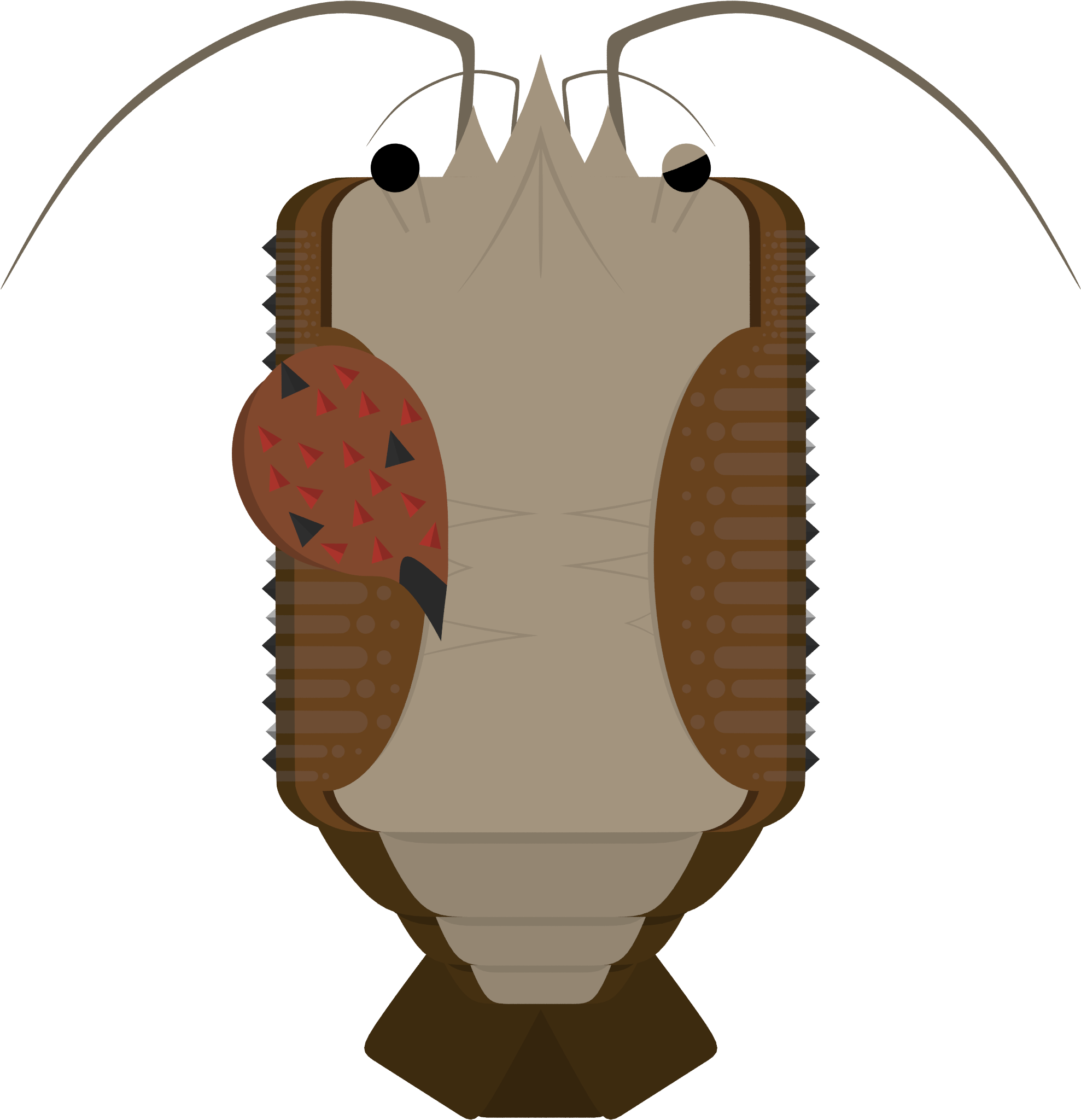 Animalmy Crippled Pet Crayfish - Illustration (2000x2069), Png Download