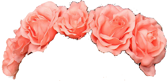 Flower Crown Transparent Tumblr Flower Transparent - Flower Crown Pink Png (575x273), Png Download