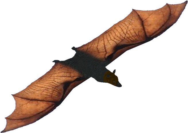 Philippineflyingfox - Zt2 Download Library Wikia Philippines (700x701), Png Download