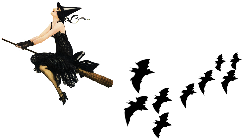 Vintage Witch Followed By Black Bats - Clock 1 Witch Silver Shower Curtain (1080x663), Png Download