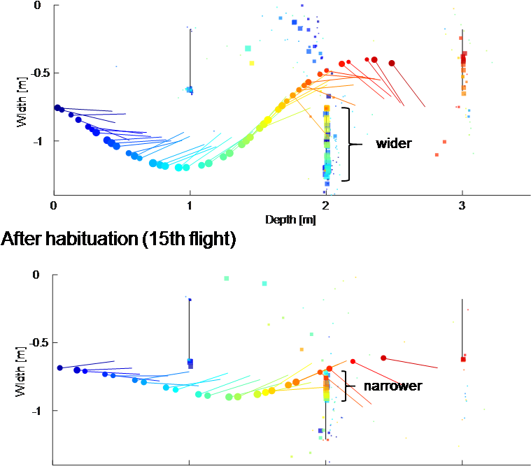 4aab4 Analysis Of Bats' Gaze And Flight Control Based - Diagram (881x675), Png Download