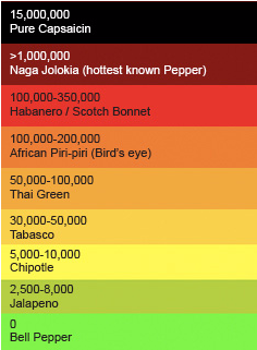 Ghost Pepper Scoville Scale - Ghost Pepper On Scale (307x420), Png Download
