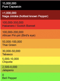 Download Ghost Pepper Scoville Scale Ghost Pepper On Scale Png Image With No Background Pngkey Com