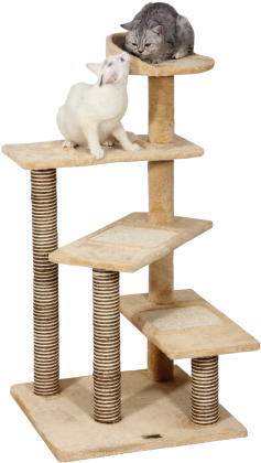 Allieroo 40 Inch H Multi-level Kitten Cat Tree Furniture - Scratching Tower For Cats (450x450), Png Download