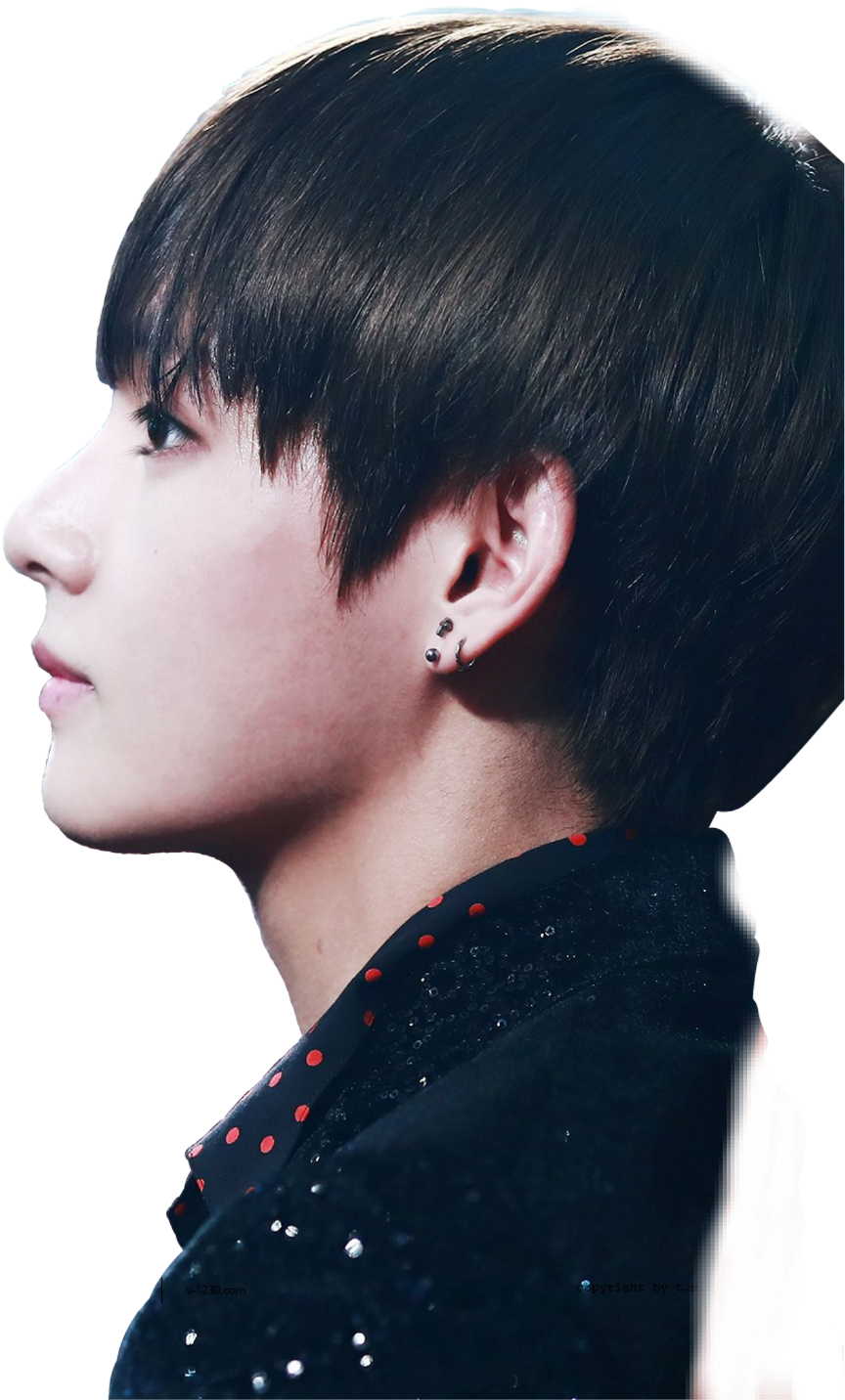 Report Abuse - V Bts Side Profile (1024x1566), Png Download