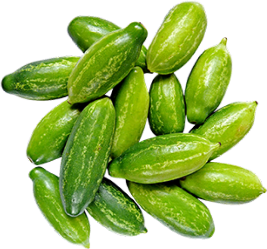 Kovakkai Benefits (550x650), Png Download