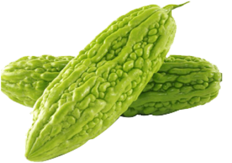 Momordica Charantia | Bitter Melon | Balsam Pear | (500x500), Png Download