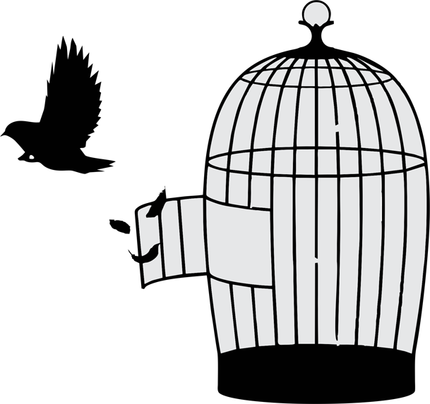 As Design Strategy Consultancy, We Bridge The Gap Between - Bird Out Of Cage (609x573), Png Download