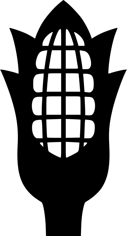 Corncob - - Maize (526x980), Png Download