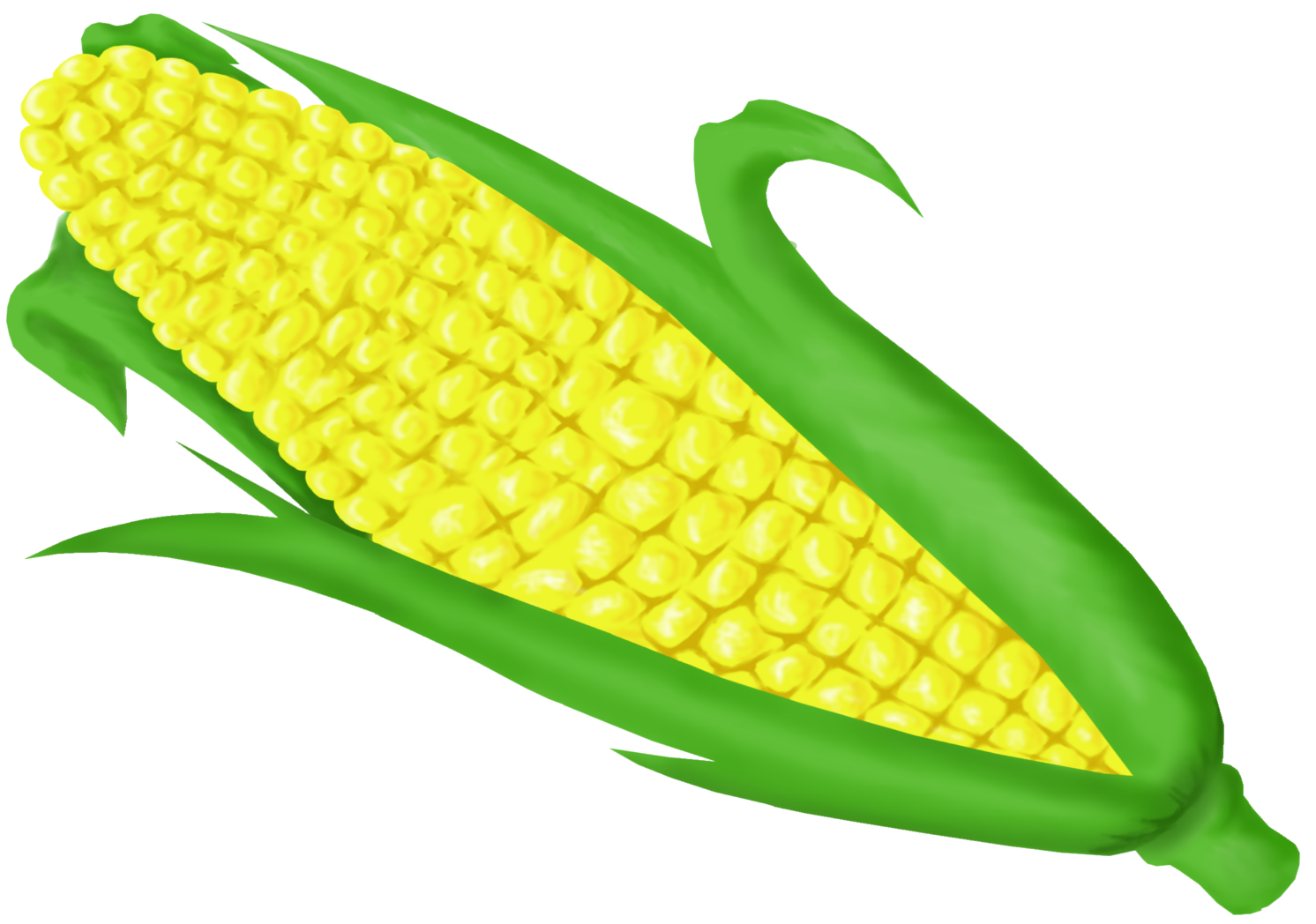 Corn On Cob Clip Art Png - Maize (1492x1048), Png Download