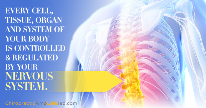 Ishmaels Care Of The Back (700x368), Png Download