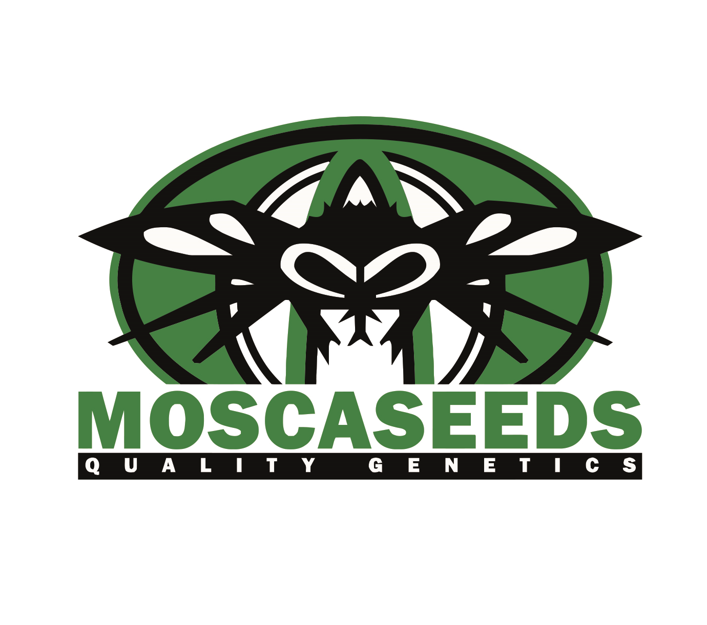 Mosca Seeds - Seed (1380x1221), Png Download
