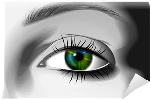 Eye Illustration (400x400), Png Download