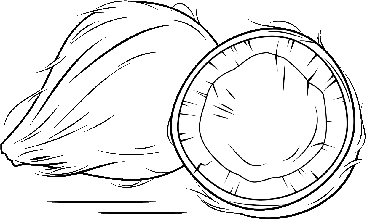 Clipart Sketch Book - Coconut Clipart Black And White (1280x800), Png Download