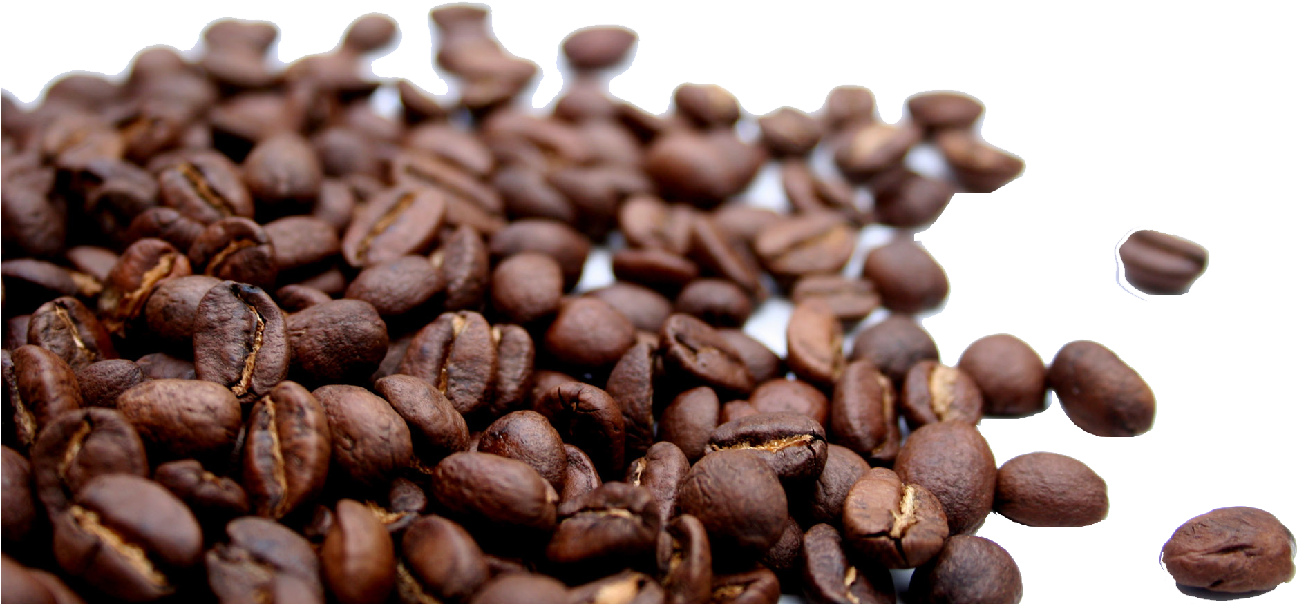 Download Coffee Beans No Background PNG Image with No Background -  