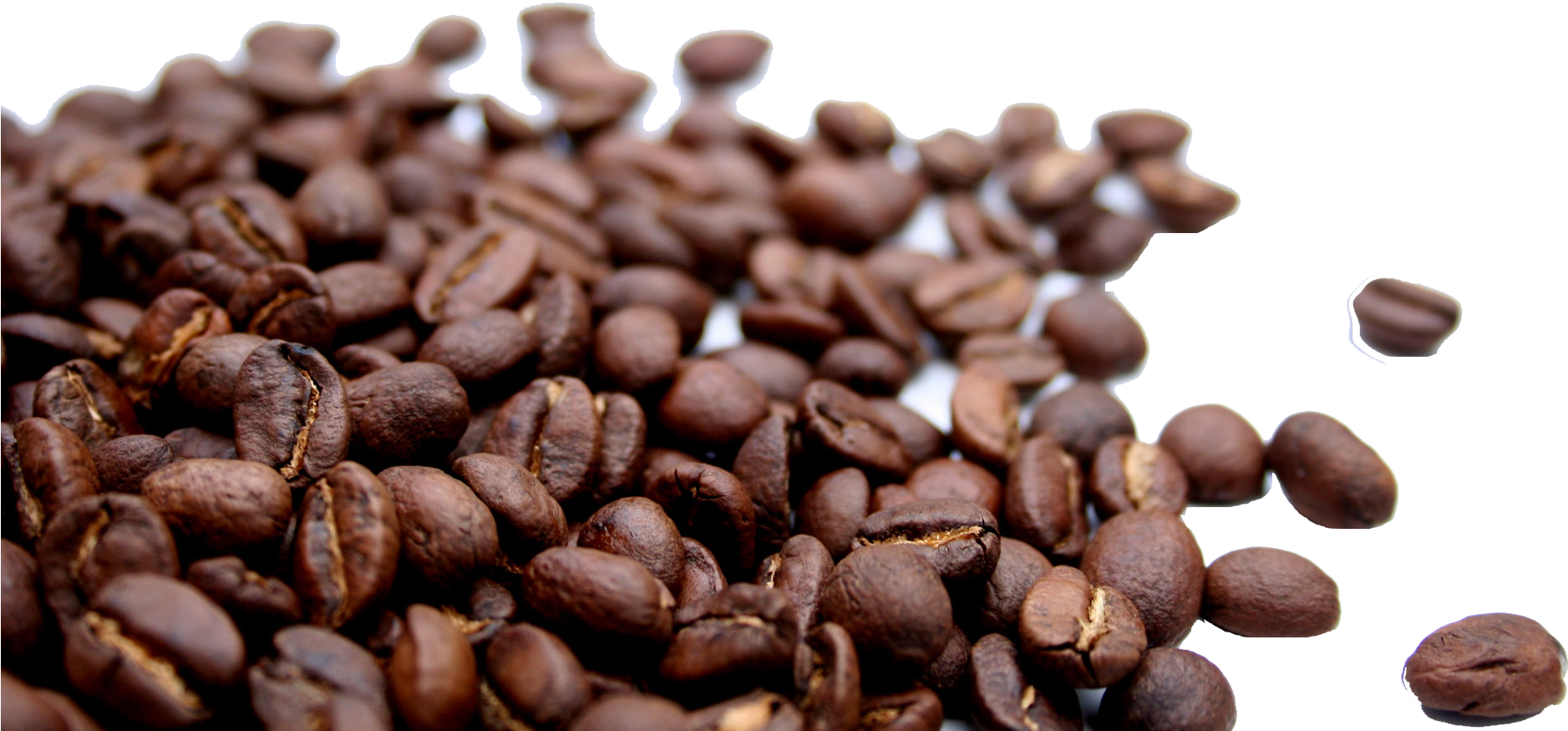 Coffee Beans No Background (1920x1080), Png Download
