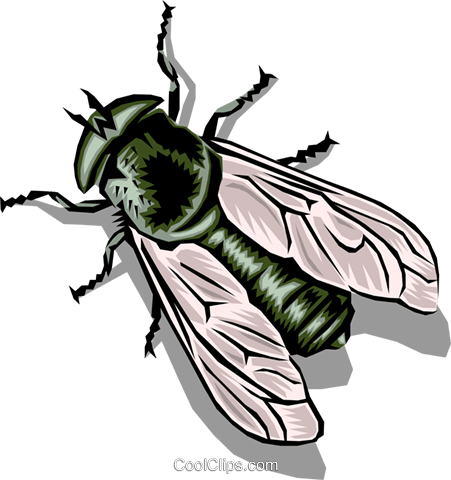 Mosca Doméstica Libres De Derechos Ilustraciones De - Муха Рисунок (451x480), Png Download