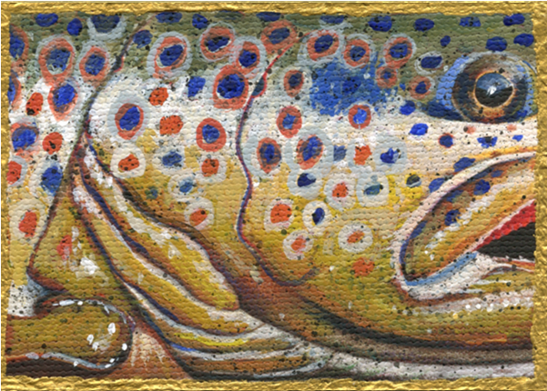 Related Products - Brown Trout (600x600), Png Download