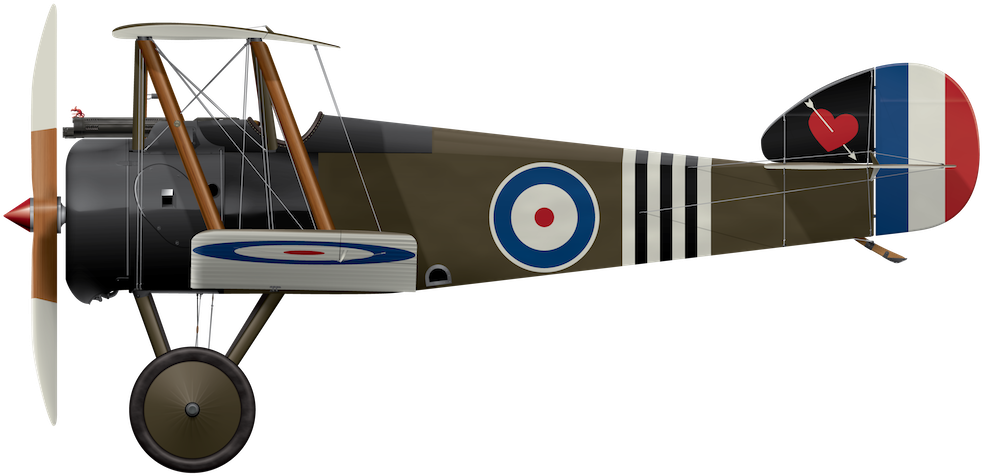 Sopwith Camel B6313 March 1918 Sopwith Camel B6313 - Sopwith Camel B3889 (1024x521), Png Download