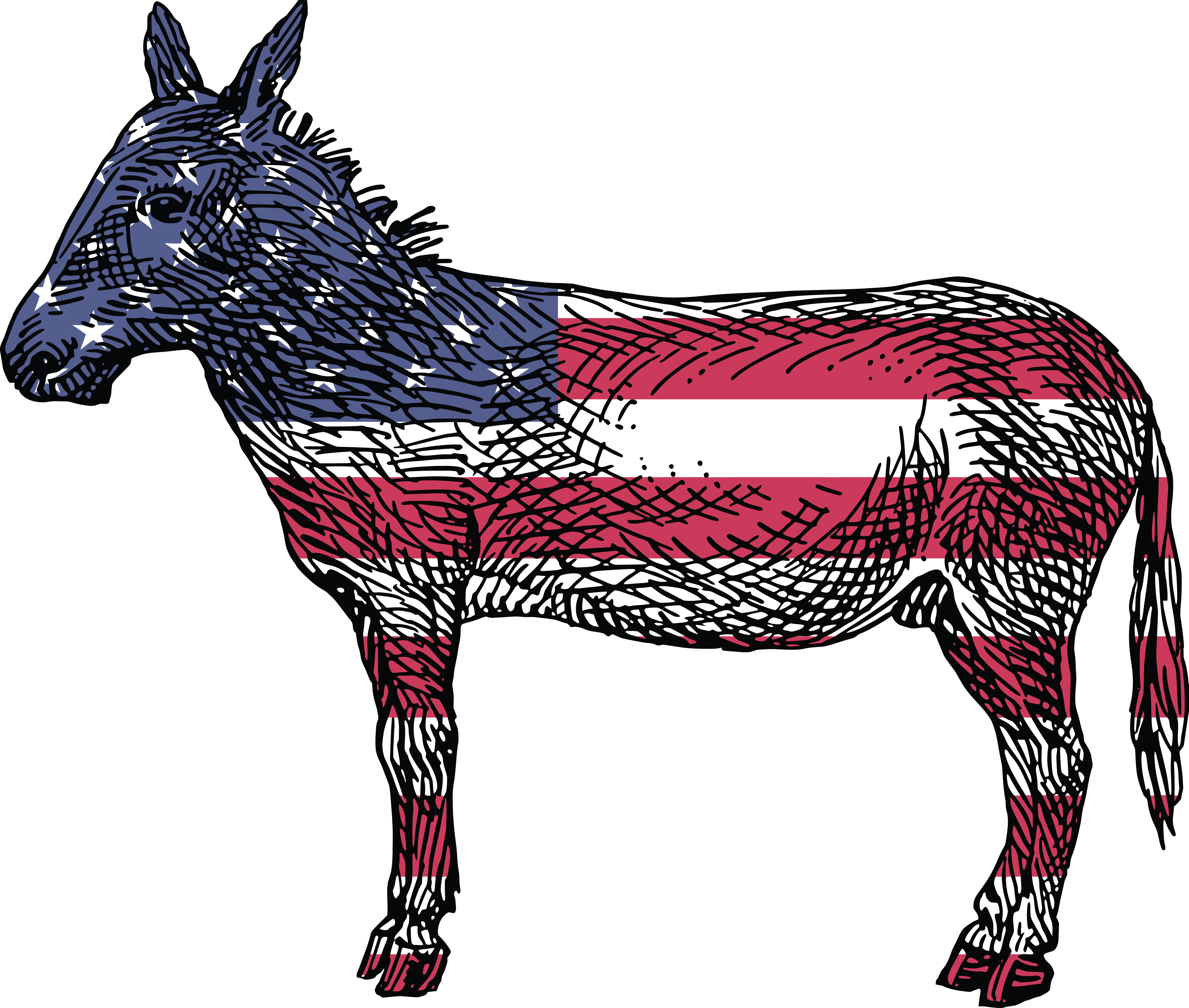 Free Clipart Of A Democratic Donkey - Reasons To Vote For Democrats A Comprehensive Guide (4000x3390), Png Download