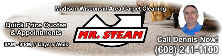 Steam Madison Carpet & Upholstery Cleaning - Hoover Type Y Vacuum Cleaner Disposable Bag 9 White (712x180), Png Download