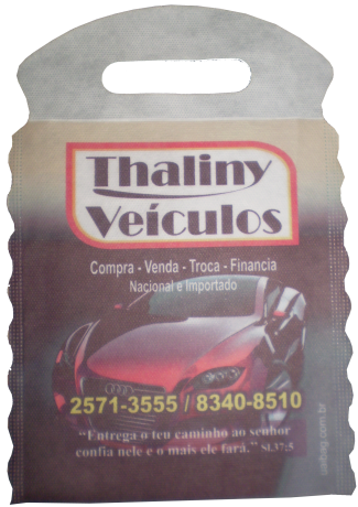 Branca Tamy 1 - Audi Locus (325x460), Png Download