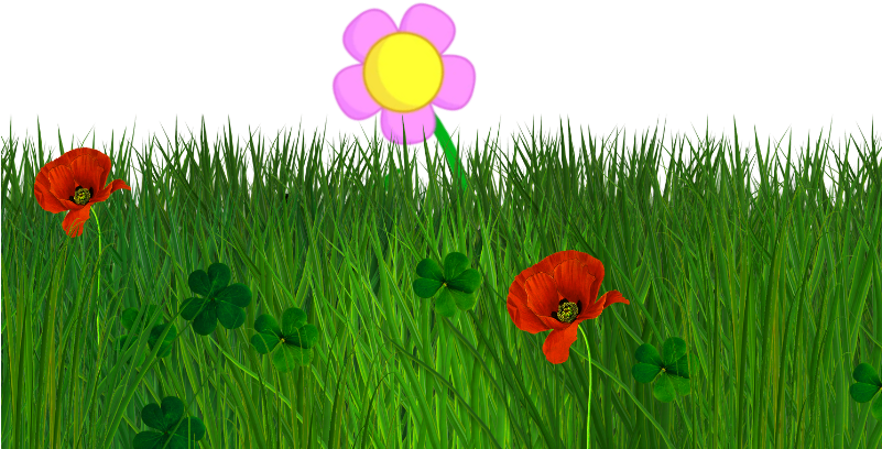 Flowerpatch - Clip Art (800x600), Png Download
