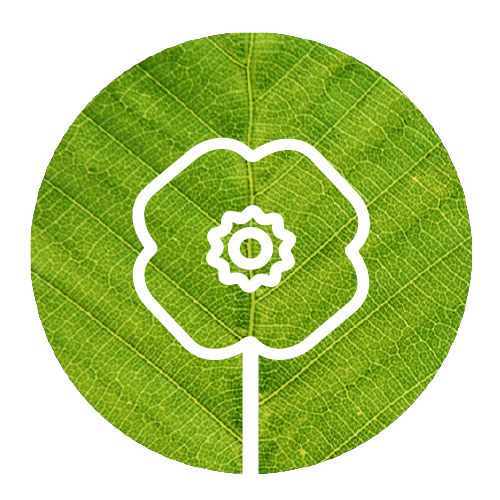 1419 - Circle (500x500), Png Download