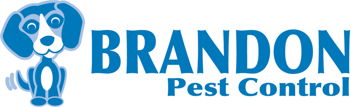 Brandon Blue Logo Pe - Brandon Pest Control (1200x368), Png Download