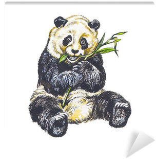 Panda Géant Dessin (400x400), Png Download