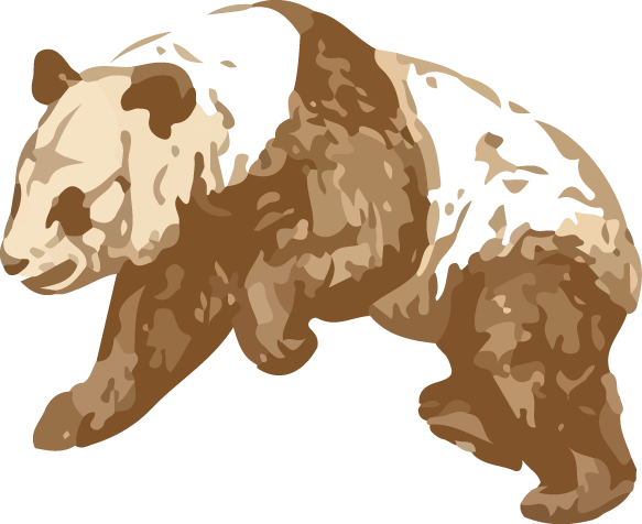 Giant Pandas Live In Central China In Some Mountain - Illustration (583x476), Png Download