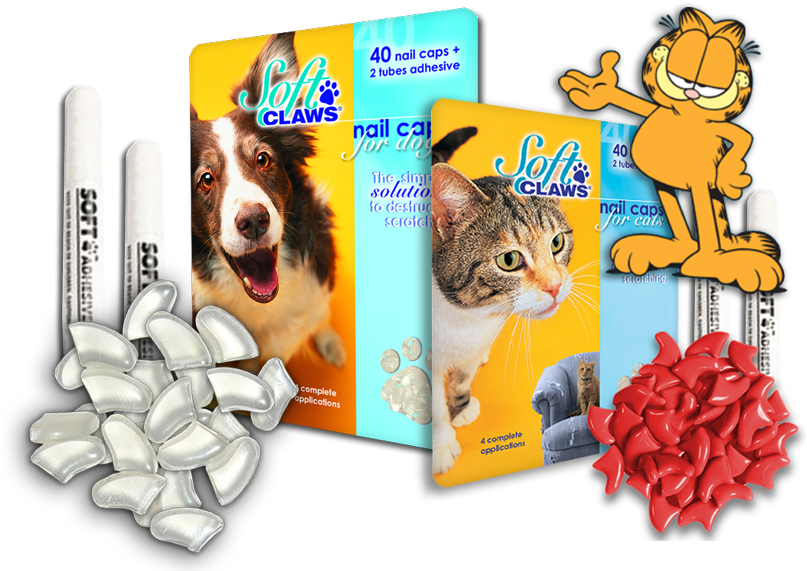 Dog Cat Bundle Garfield - Soft Claws Nail Caps: Blue: Small (816x587), Png Download