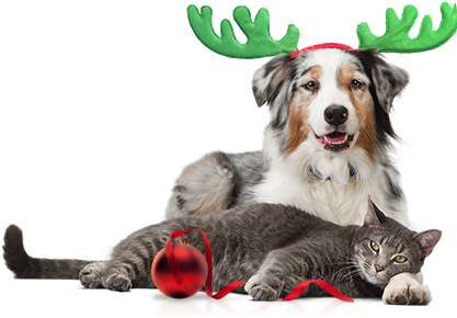 Lights, Decorations And Toys Are A Wonderful Part Of - Pet Leash Bluetooth Gps Crowd Tracking Pet Leash (417x290), Png Download