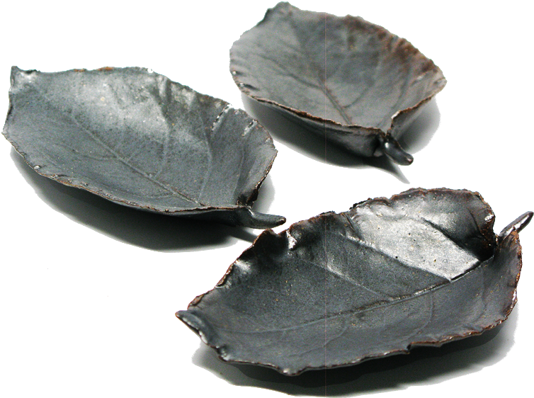 Fallen Leaves - Leaf (800x800), Png Download