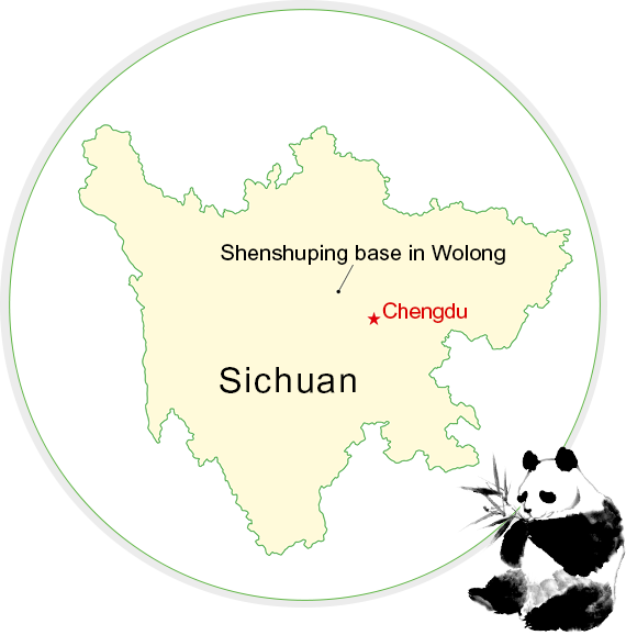 臥龍神樹坪基地 - Wolong National Nature Reserve (570x578), Png Download