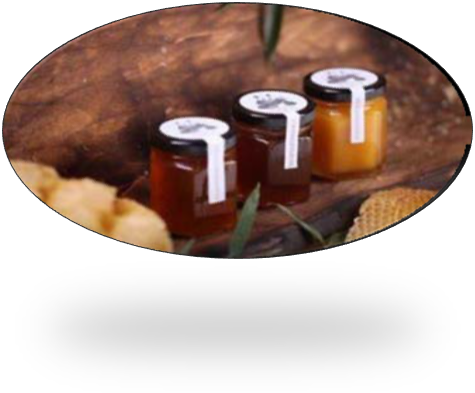 These Above Average Effects Are A Testimony Of The - Conga (475x393), Png Download