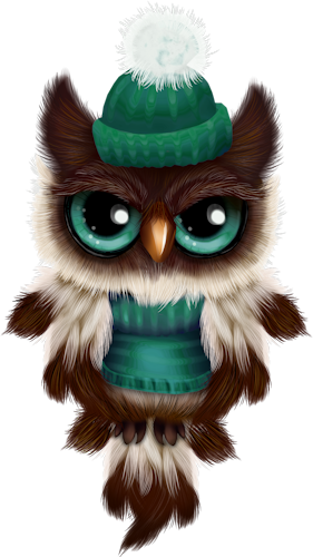 Csdesigns- El 07 - Zazzle Rosa Eulen-fleece-decke Fleecedecke (281x500), Png Download